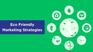 eco friendly ideas